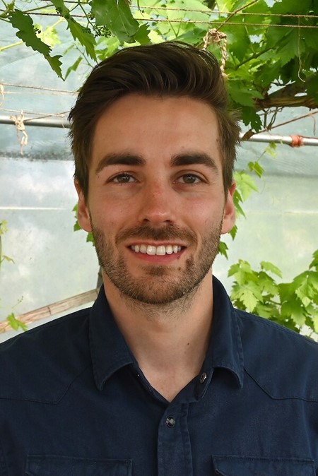 Jelle Albers